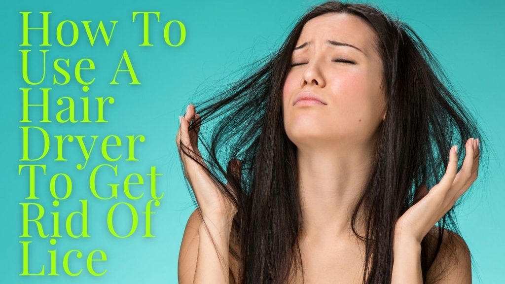 how-to-use-a-hair-dryer-to-get-rid-of-lice-a-step-by-step-guide