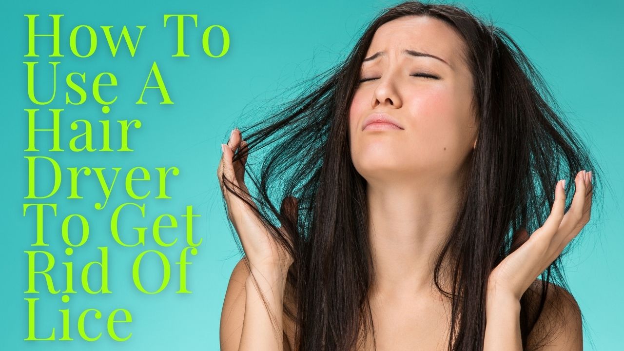 How To Use A Hair Dryer To Get Rid Of Lice